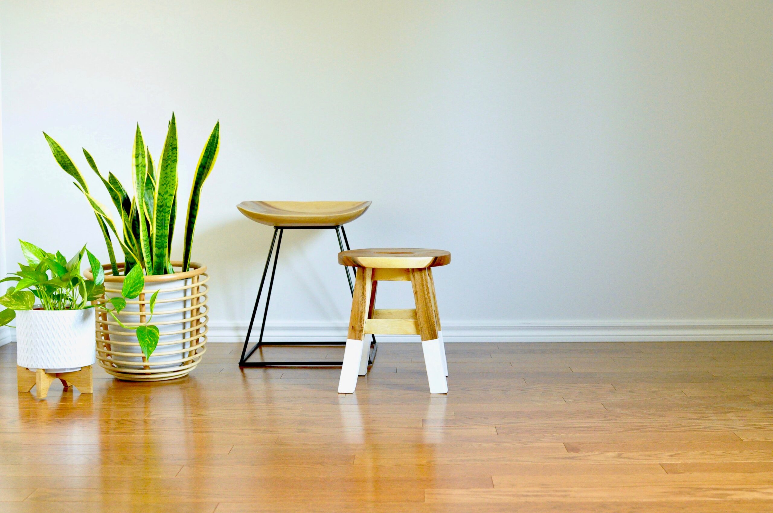 White Wall Plants and Benches